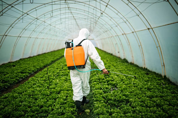 Professional Pest Control in Rupert, ID