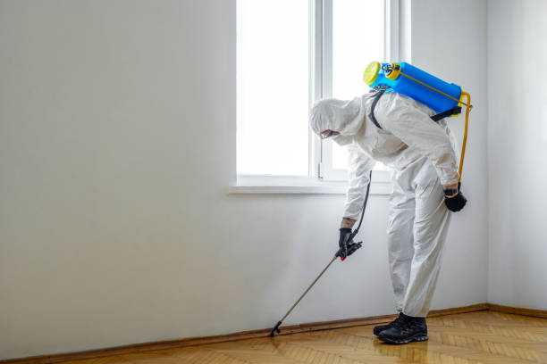 Best Wildlife Control Services  in Rupert, ID