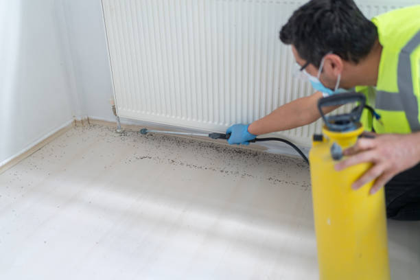 Best Exterminator Services  in Rupert, ID
