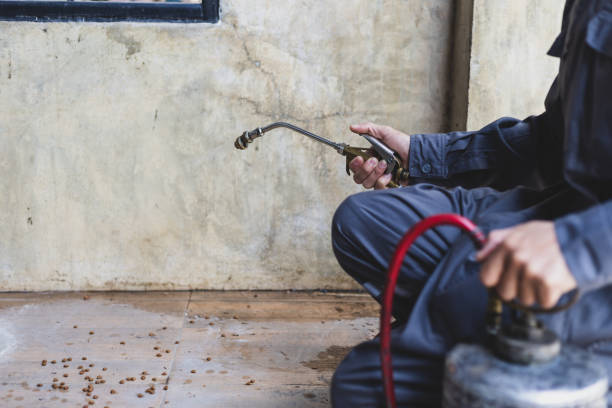 Best Commercial Pest Control Services  in Rupert, ID